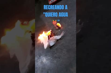 Portal do Zacarias: Explorando o Mundo de Quiero Água Palhaço.